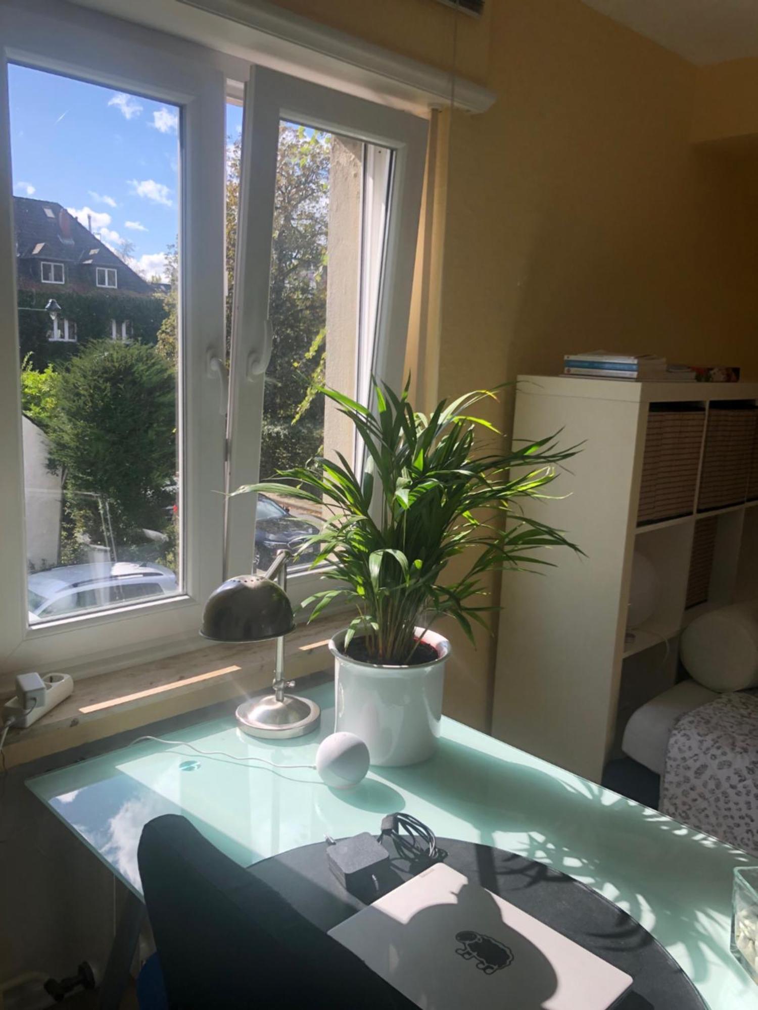 Glueck In Benrath Apartment Dusseldorf Ngoại thất bức ảnh